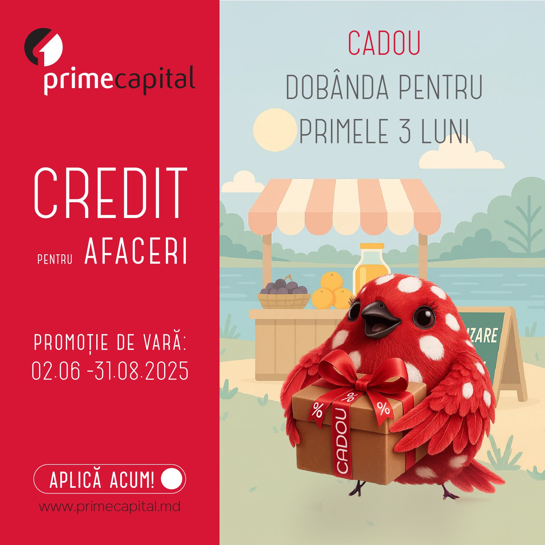 LA CREDITUL PENTRU AFACERI PRIMEȘTI DOBÂNDA CADOU, LA PRIMELE 3 LUNI